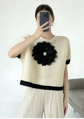 HEYFANCYSTYLE Women's Relaxed Crop Blouse Japanese Plissé Pleated
